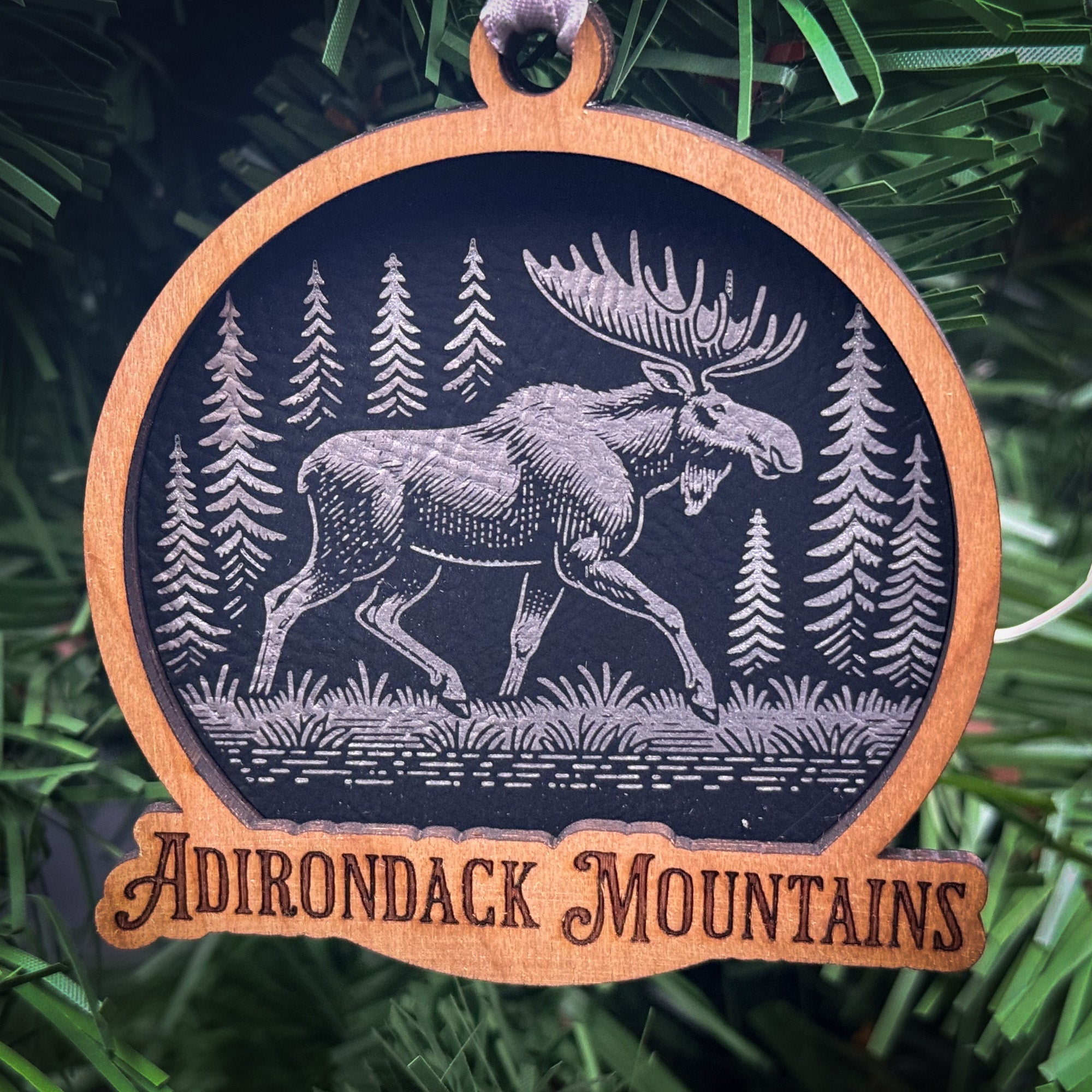 Moose in a Forest Scene