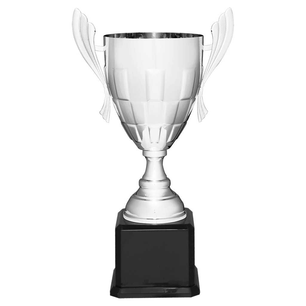 Silver Completed Metal Cup Trophy on Black Royal 22" Piano Finish Base