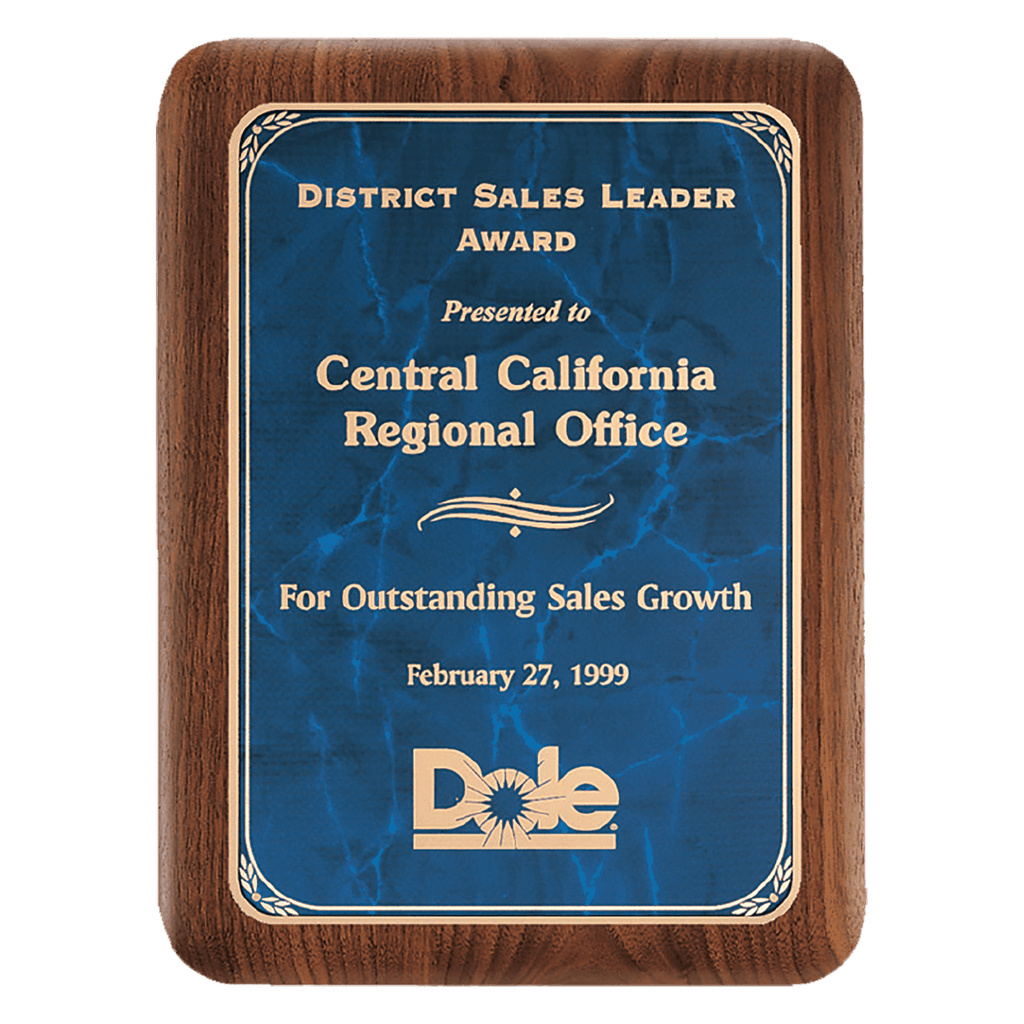 Walnut Plaque with Gold 9" x 12" American Border Sapphire Marble LaserFX Plate