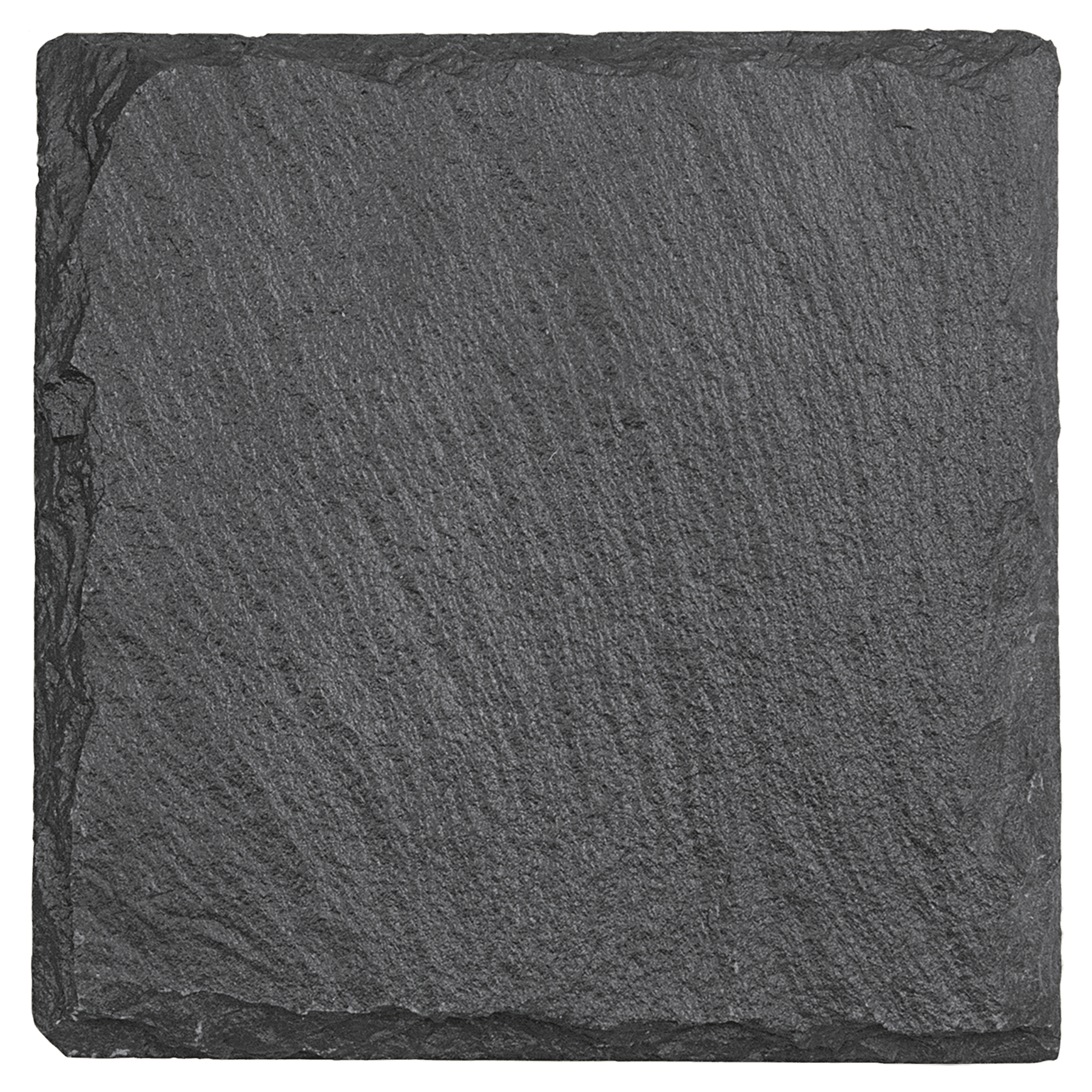 Bear in a Forest - 4" Square Slate Coaster