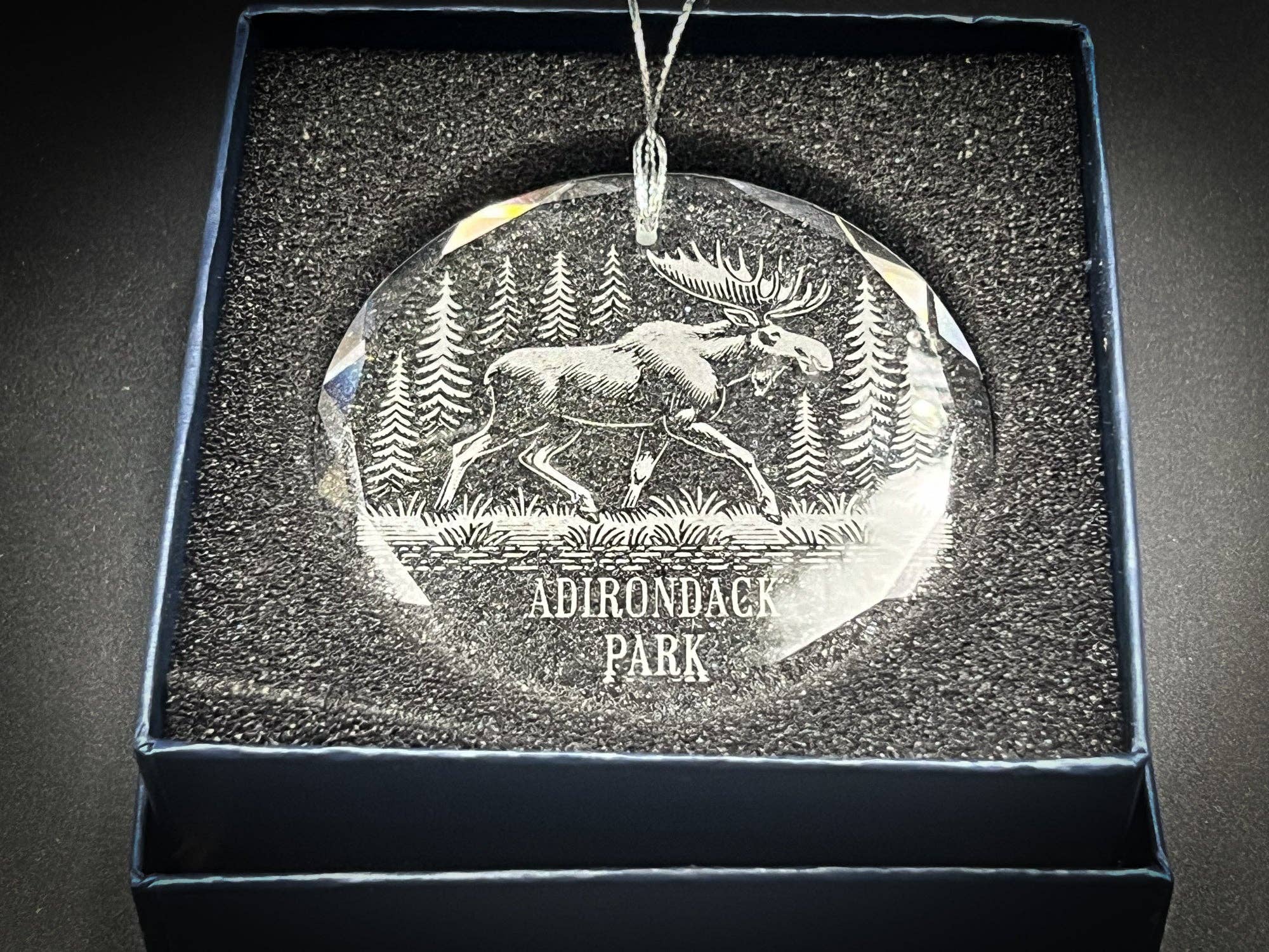 Moose in a Forest - Clear Glass Ornament