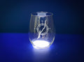 Lake George in Compass - Etched 21 oz Stemless Wine Glass