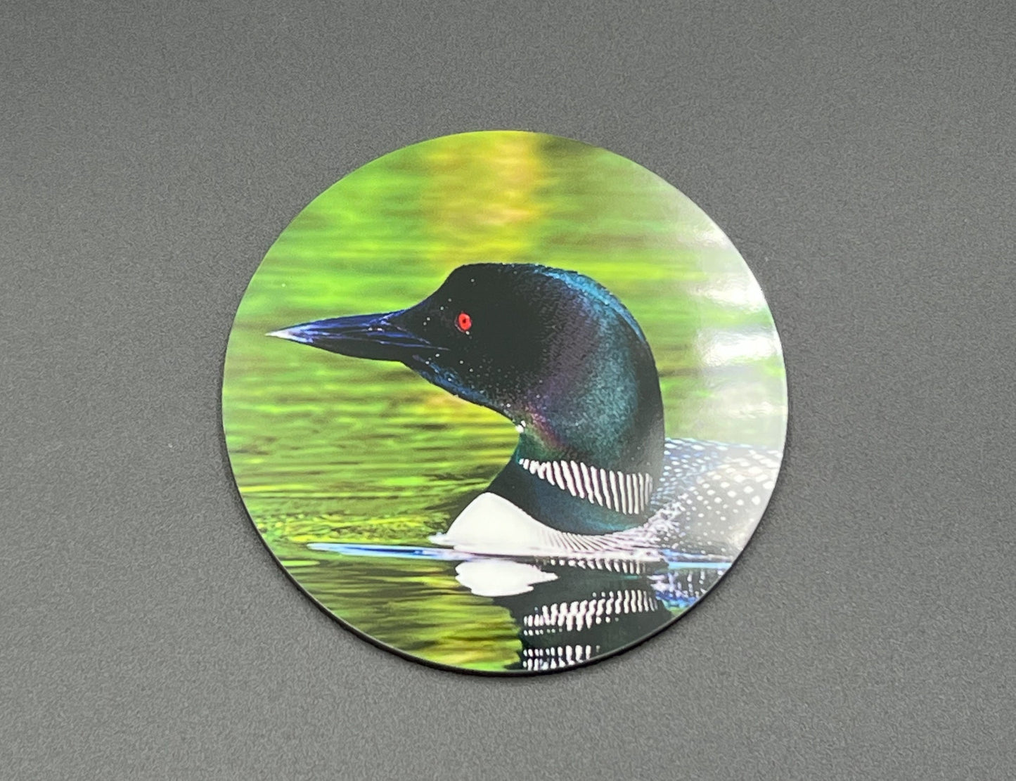 Loon Full Color Coaster